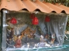 creche-09937
